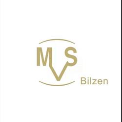 MVS Bilzen