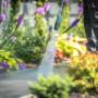 Jardinier