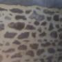 Sablage mur BT Construct