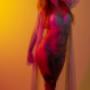 Boudoir kleurengels, studio, tattooed