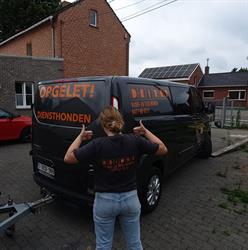 Beirre vloer en tegelwerken