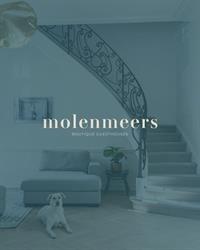 Molenmeers Brugge