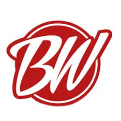 BW Motors