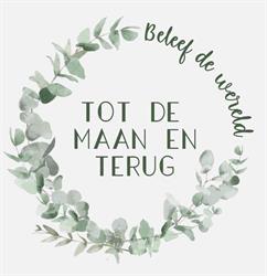 Tot de maan en terug