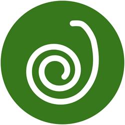 Kameleon