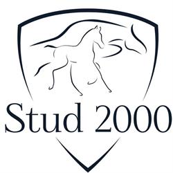 Stud 2000