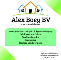 Alex Boey BV - Dakontmossing en meer