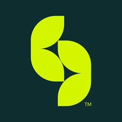 Bogroen Kunstgras - Gazon synthétique