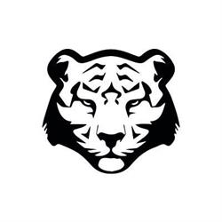 Black Tiger Belgium