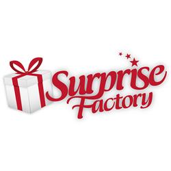 SurpriseFactory België