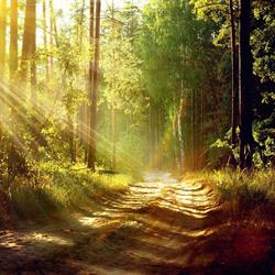 Choissez le Chemin