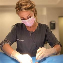 DSVet Cabinet vétérinaire Verlaine