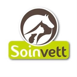 Soinvett
