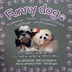 Funny dog