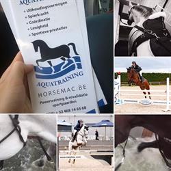 Horsemac Bvba