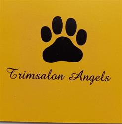 Trimsalon angels