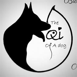 The Qi of A Dog