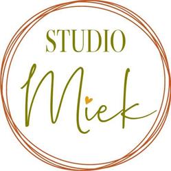 Studio Miek