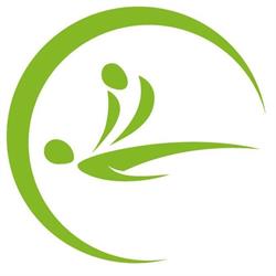 wellnessmassages.be