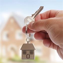 Altes Vastgoed Renovatie Service