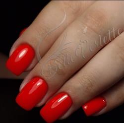 Belle Perlette