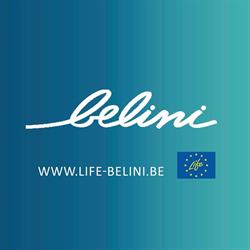 LIFE Belini