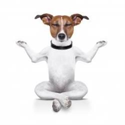 Body Beauty Balance and Beyond