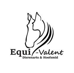 DAP Equi-valent - dierenarts en hoefsmid Febe Stockmans