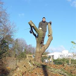 Le P'tit Forestier