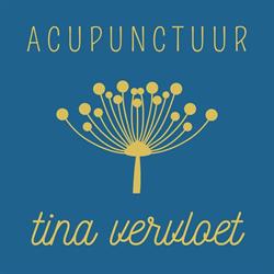 Tina Vervloet, Acupunctuur voor mens en dier