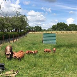 Au comptoir de la ferme