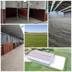 Manhove Stables