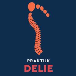Praktijk DELIE