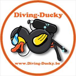 Diving-Ducky
