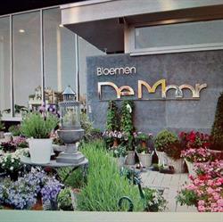 Bloemen De Moor