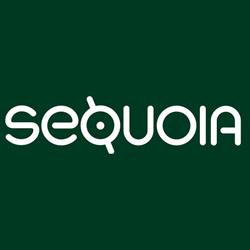 Sequoia