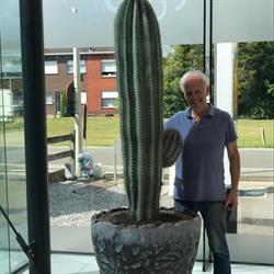 What a cactus!
