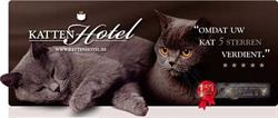 Kattenhotel
