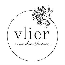 Vlier