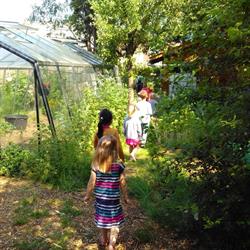 Les Ateliers Mellifères - Naturopathie à Waterloo