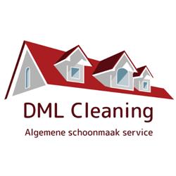 DML Cleaning