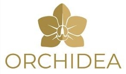Orchidea