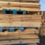 Euro Pallet Sint-Niklaas