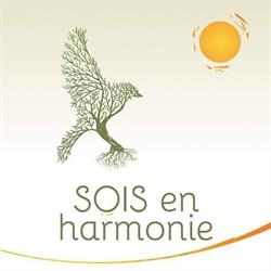 Sois en harmonie - Sandrine Mathot