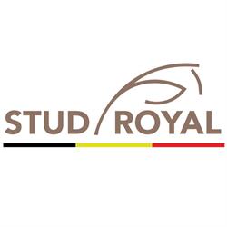 Stud Royal