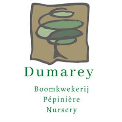 Boomkwekerij Dumarey