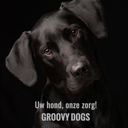 Groovy Dogs Hondenspeciaalzaak