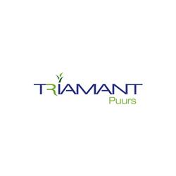 Triamant Puurs