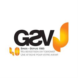 GSV NV