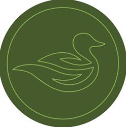 Duckwing outdoor